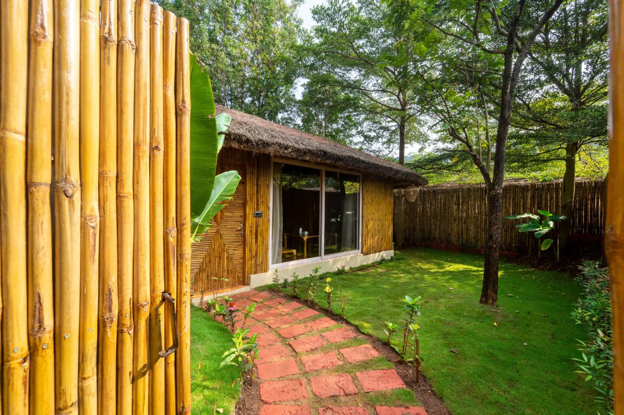 bamboo1