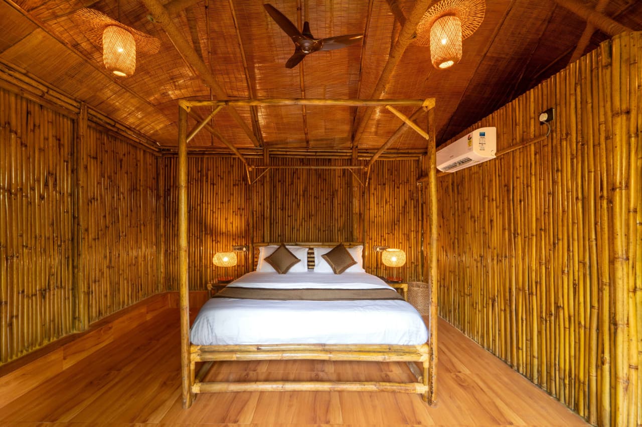 bamboo5