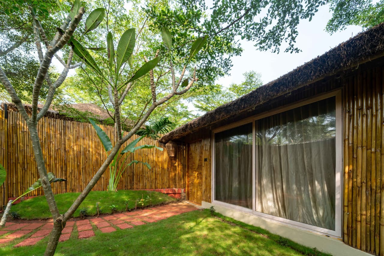 bamboo7